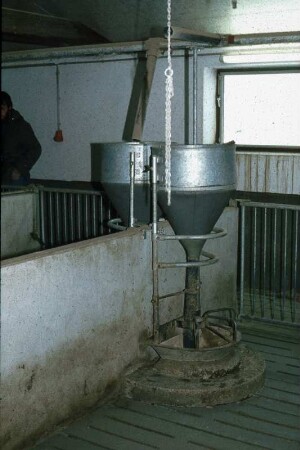 Fotografie: Rohrbreiautomat, Vollspaltenboden, Mastschwein, Schweinehaltung