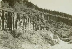 Steinbruch am Pöhlberg : Steinbruch am Pöhlberg. Säulenbildung des Basalts