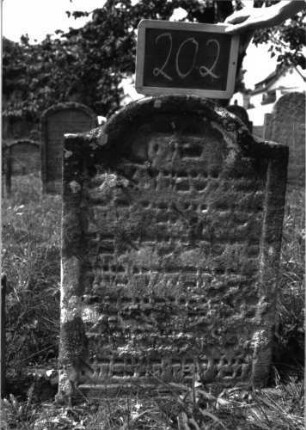 Grabstein 202 (Index: 100103328) Material: Sandstein Zustand: stark verwittert, teilweiser Textverlust Maße HxBxT: 81x51x9 cm Beschreibung: Stele, eingezogener Rundbogenabschluss, Schriftfeld eingetieft, im Bogenfeld links Levitenkanne Symbolik: Levitenkanne: Grabstein 202