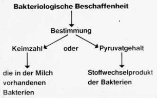 Bakteriologische Beschaffenheit der Milch