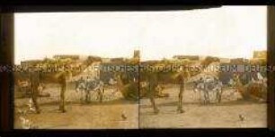 Rastplatz einer Karawane, Sudan