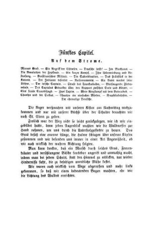 Fünftes Capitel. Auf dem Strome.