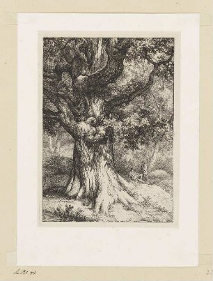 Karl der Große, Eiche im Adlerhorst, Blatt 2 der Folge "Landschaften, nach der Natur radiert"