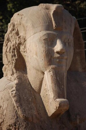 Kopf der Alabaster-Sphinx (möglicherweise Pharao Ramses II.) von Memphis