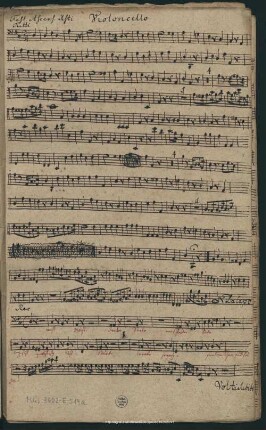 Violoncello