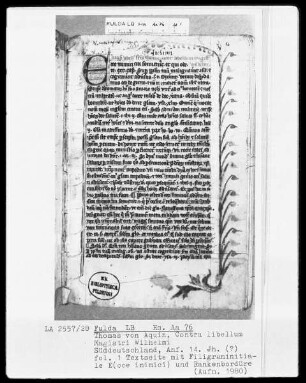 Thomas von Aquin, Contra libellum Magistri Wilhelmi —