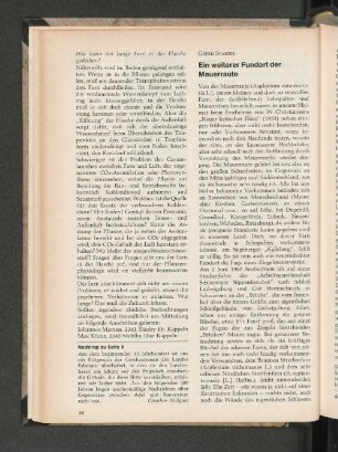 Ein weiterer Fundort der Mauerraute