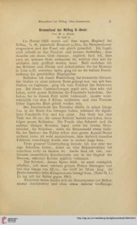 6: Bronzefund bei Nöfing O.-Oestr.