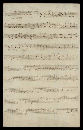 Violon