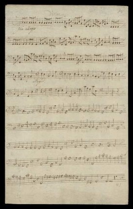 Violon