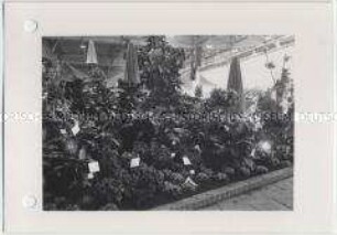 Hamburg, Internationale Gartenausstellung (IGA) 1973, Vierte Hallenschau