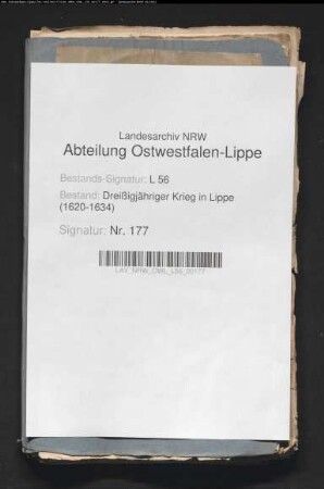 Staatsgeschäfte ("Publica negotia")