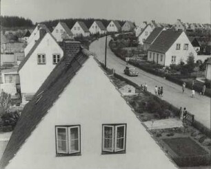 Wohnsiedlung : Einfamilienhäuser mit Vorgärten in Wohnsiedlung