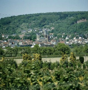 Gelnhausen. Stadtansicht von Süden