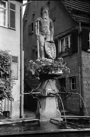Marbach: Wilder-Mann-Brunnen