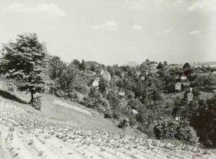 Sächsische Schweiz, Blick über einen Kartoffelacker auf Reinhardtsdorf mit Kaiserkrone und Zirkelstein