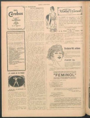 El feminismo en la Argentina
