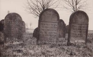 Judenfriedhof. Grabstein. 19. Jahrhundert