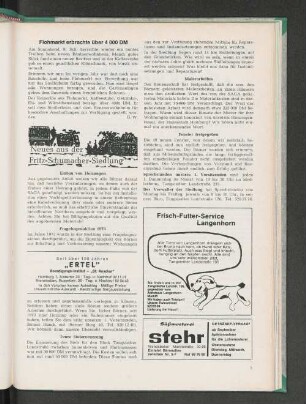 Teure Steinerneuerung