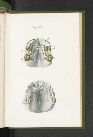 Fig. 327.