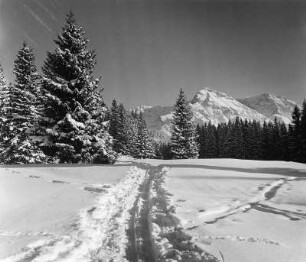 Winterbilder. Allgäuer Alpen. Winterlandschaft, wahrscheinlich nahe der Straußberghütte