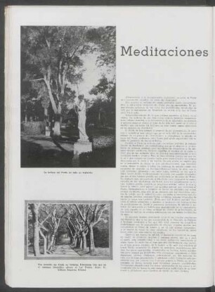 Meditaciones en el Prado