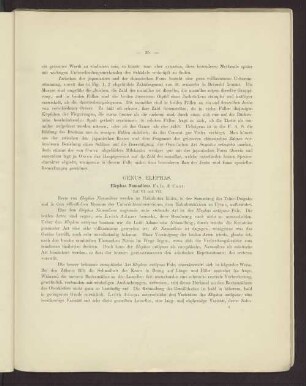 Genus Elephas. Elephas Namadicus Taf. VI. und VII.