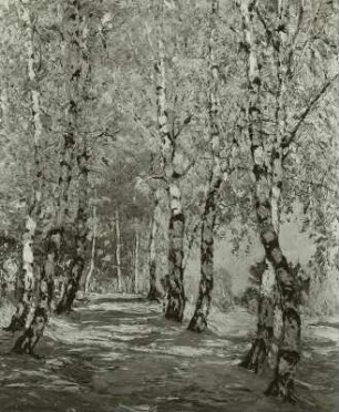 Birkenweg im Mai