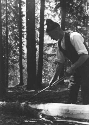 Schwarzwald. Ein Holzfäller beim Entrinden eines Baumes. Aufgenommen 1934