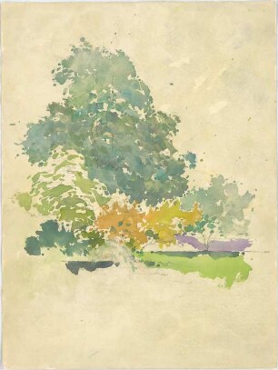 Döllgast, Hans; München; Bayern; Aquarellstudien - Blumen
