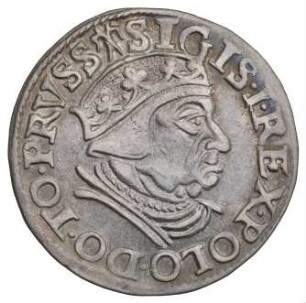 Polen: Dreigröscher 1538
