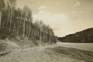 Sächsische Schweiz. Vorfrühling im Polenztal nahe Heselicht