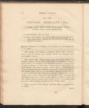 Tab. XXIII: Testudo Areolata. Thunb.
