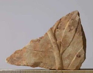Relieffragment mit Olivenzweig
