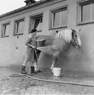 Tierklinik Dresden-Reick, Oskar-Röder-Str. 6. Pferdewäsche