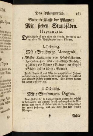 161, Mit sieben Staubfäden