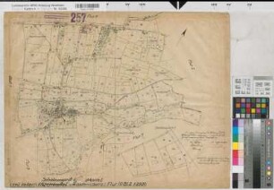 Vellern (Beckum), Umlegung Vellern, Bl. 12 Schätzungsriß u. Urkarte 1 Flur 10,2