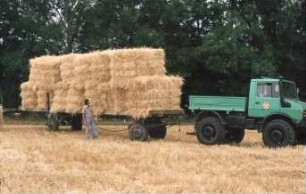Fotografie: Strohbergung, Transport, Zweiachsanhänger, Rundballen