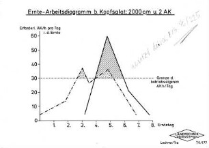 Ernte-Arbeitsdiagramm bei Kopfsalat: 2000 qm und 2 AK