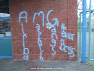 AMG Alpha Maskulin Gangs | # euer Boss