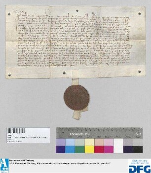 Heinrich Geuder, Schultheiß, und die Schöffen des Gerichts zu Nürnberg beurkunden, dass dem Conrad Waldstromer in der zwischen seinen Brüdern und ihm gesehenen Abteilung neben einem Teil des Gostenhofes auch andere Güter zu Mandtlach im Nordgau, Netzstall, Lauffenholz zu Nürnberg und ein Hof bei St. Jakob, darin vor Jahren der Burggraf gesessen, durch Los angefallen seien.