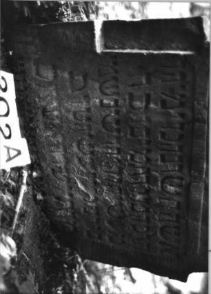 Grabstein 202 (Index: 99803270) Material: Sandstein Zustand: eingesunk/Textverl/seitl. zerstört Maße HxBxT: 63x60x12 cm Beschreibung: Stele mit eingezogenem Rundbogen und profiliertem Rand, Giebelfeld: Grabstein 202A