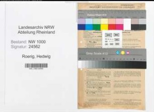 Entnazifizierung Hedwig Roerig, geb. 21.12.1901 (Angest.)