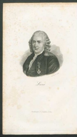 Portrait Linné.