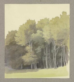 Waldrand