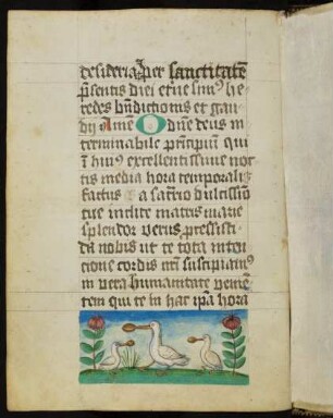 Miniatur (Bas-de-page): Drei Pelikane (?)