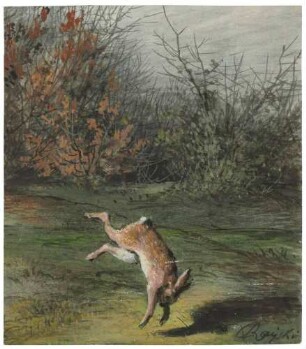 Getroffener Hase, sich überschlagend