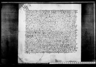 Graf Ulrich V. als Vormund Graf Eberhards V. erstreckt die Einung mit Ulm auf zehn Jahre.