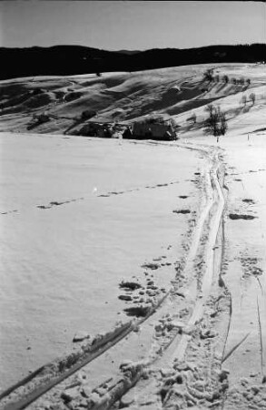 Schauinsland: Skispur und Blick auf Hofsgrund