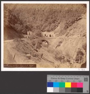 Ruisseau de Singes (Gorges de la Chiffa)